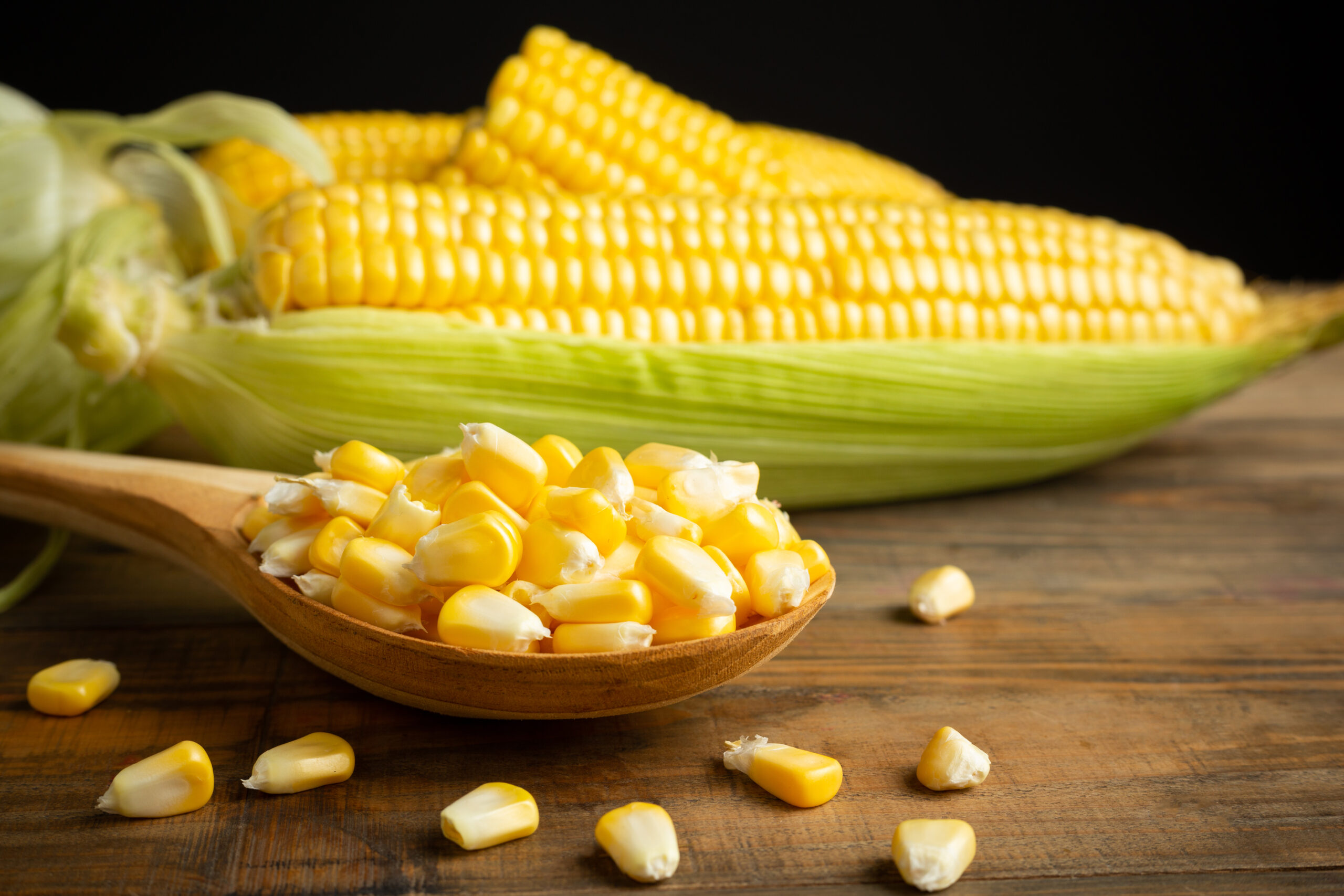 The Role of Corn in Sustainable Farming Practices